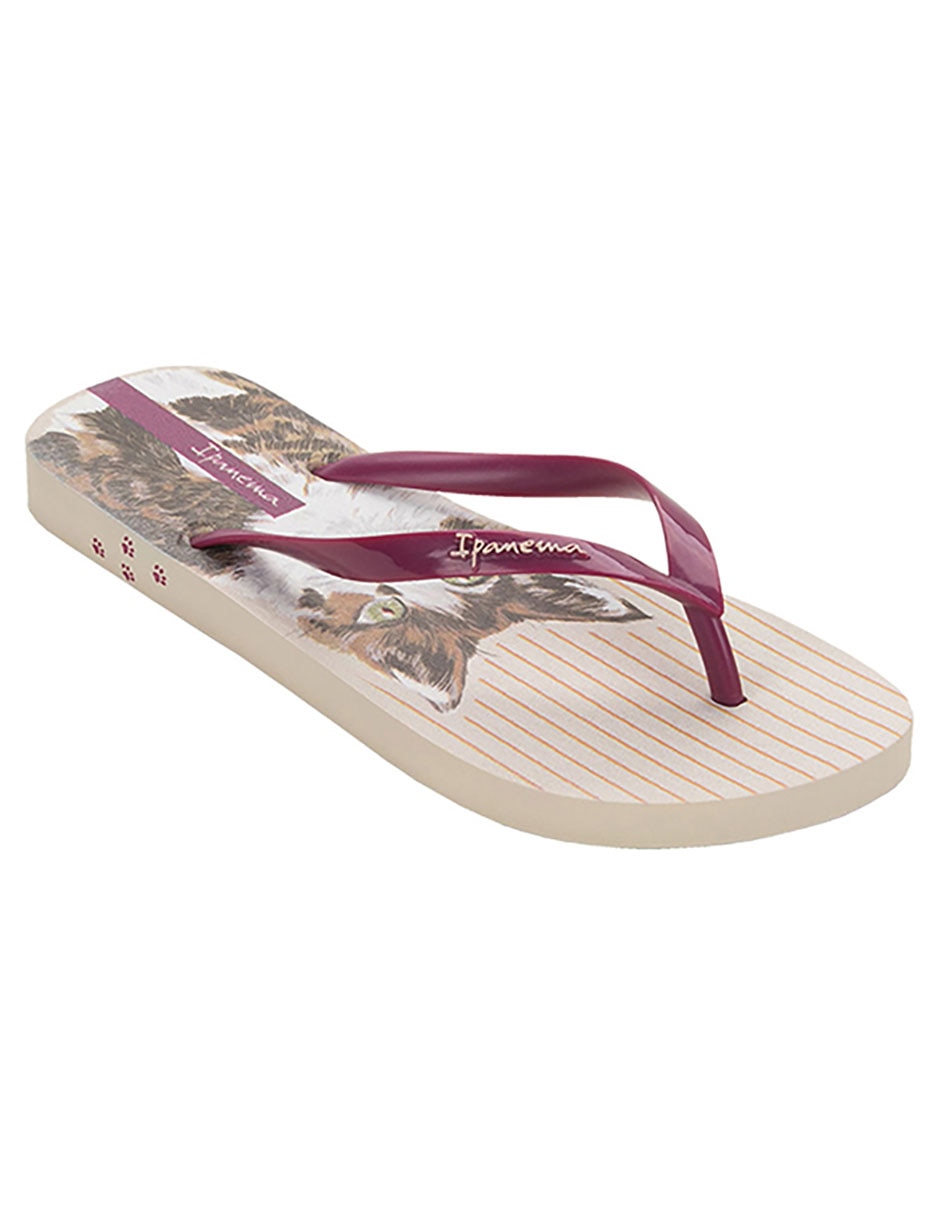 Chanclas Ipanema Mujer Modelos De Sandalias Ipanema 2019 Chanclas